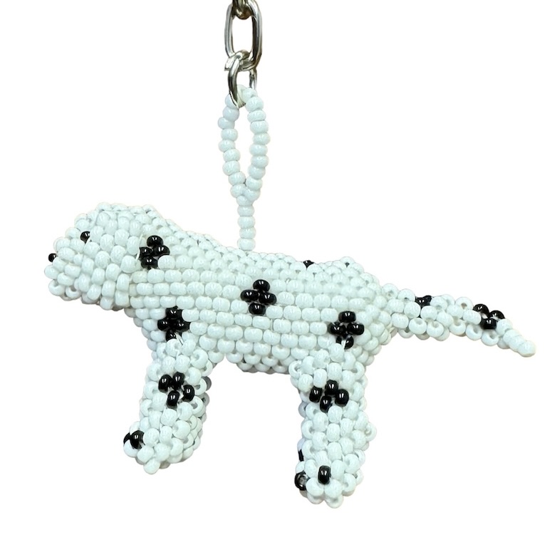 dalmatian